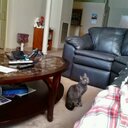 Renee Guidice - @GuidiceRenee - Twitter