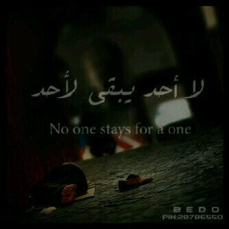 mnef