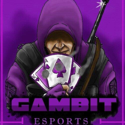 Gambit_Flush's profile picture. -------Org name = @EsportsGambit -------- PS4 Roster = @Gambit_Sheps @Rslukey @gamerduck180 @kyle_kearns