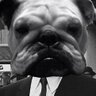 TootsTheBulldog's profile picture. barking dog, market musings, cannabinoids, e-mini, auctions, far out man ... mental exhaust, not advice ... will subtweet for food