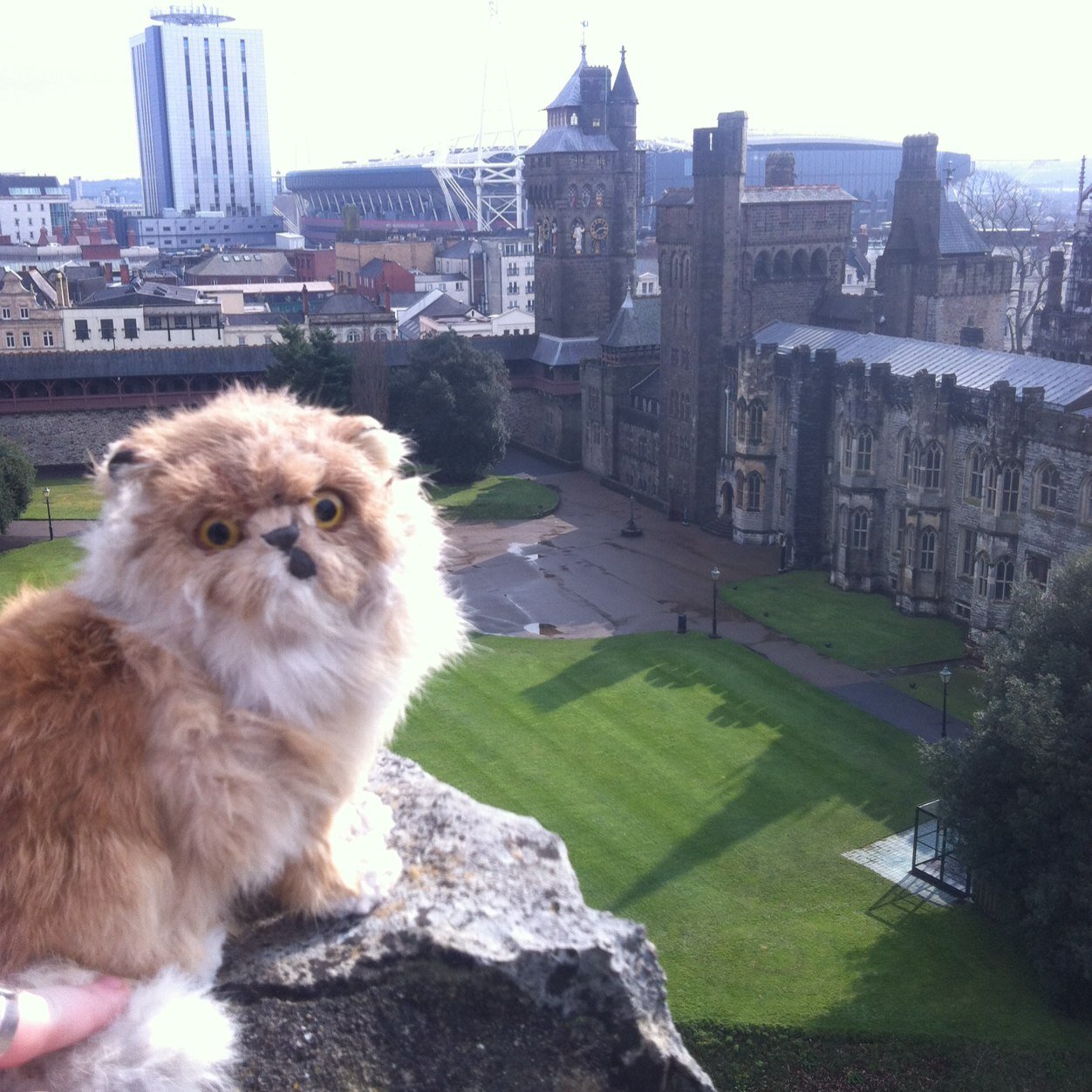 Finding_Barbara's profile picture. Barbara has gone missing for real! #STOLENBARBARA @theatretheatre LAST SEEN AT THE ABACUS 14.02.15