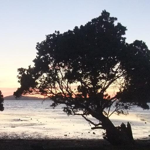 bt9953's profile picture. 