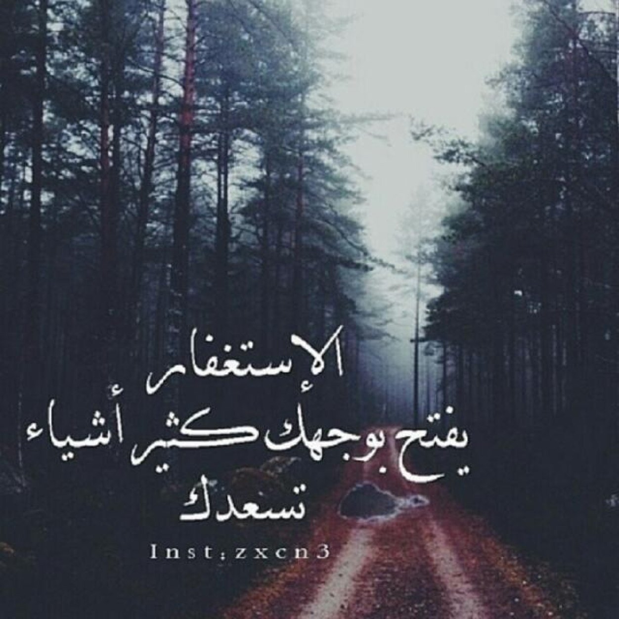 سبحان الله وبحمده سبحان الله العظيم .