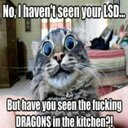 Sean Cull - @cools_77 - Twitter