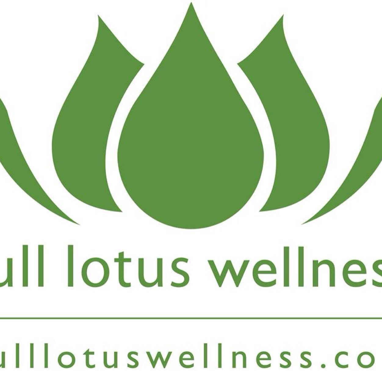 lotusjuicebar's profile picture. Your Simple, Customized, Blueprint to Healthy Living, Nutrition, & Fitness