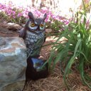 Patsy Jolly - @PatsyJolly - Twitter