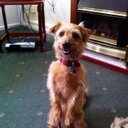 Sally Fraser - @sallyfraser17 - Twitter