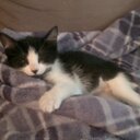 John Becker - @BeckerMN - Twitter