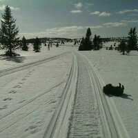 Eva Wurm (@evawurm) 's Twitter Profile