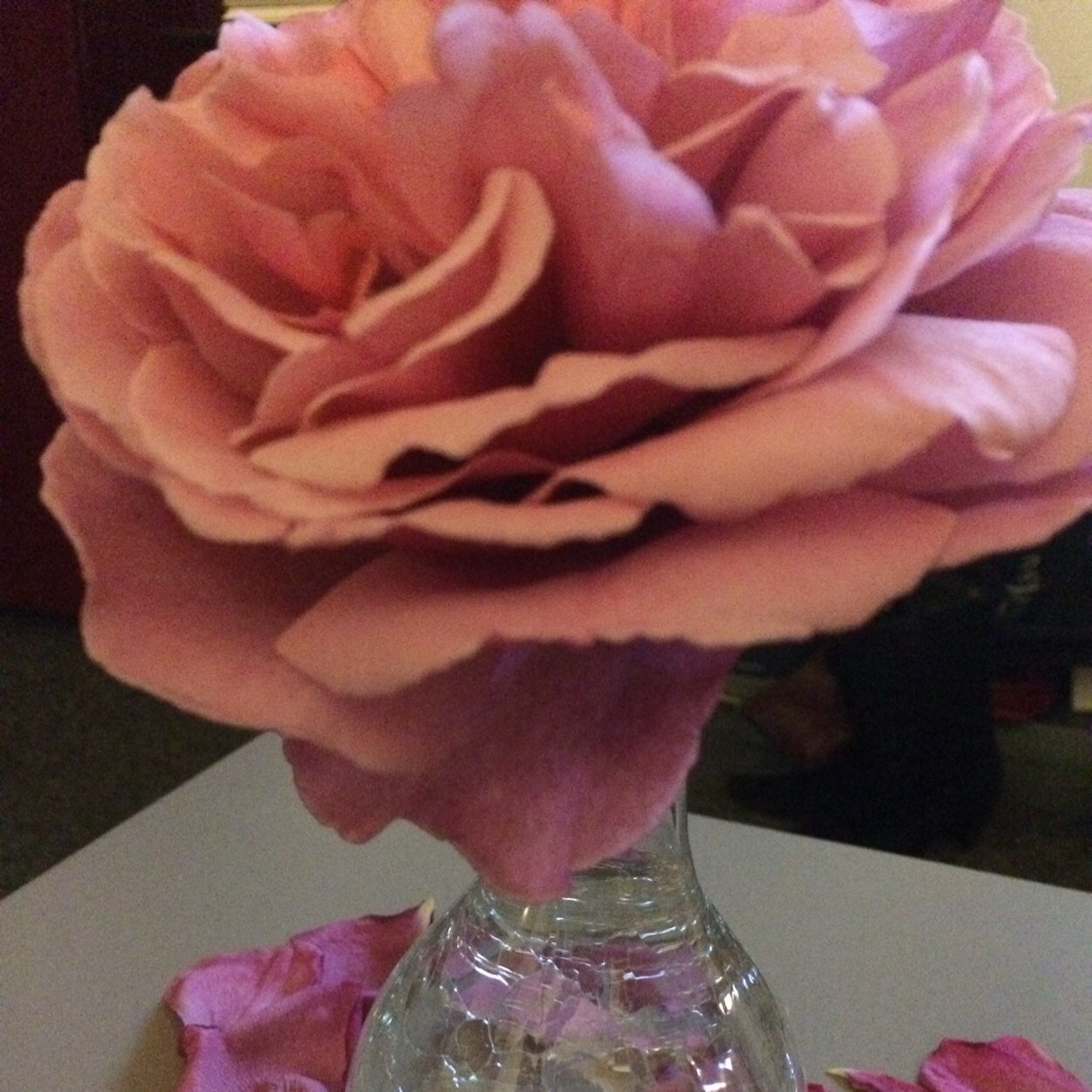 Crissy_CV's profile picture. #finance+#digital+#Paris