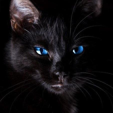 Strizh40's profile picture. 