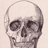 http://t.co/LttZu7MIbe
apocalypse press publishing
Dark fiction horror genre specialist.
#horror #publishing #zombie #zombies #vampire #sci-fi #crime