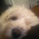 Joan Vickers - @VickersJoan - Twitter