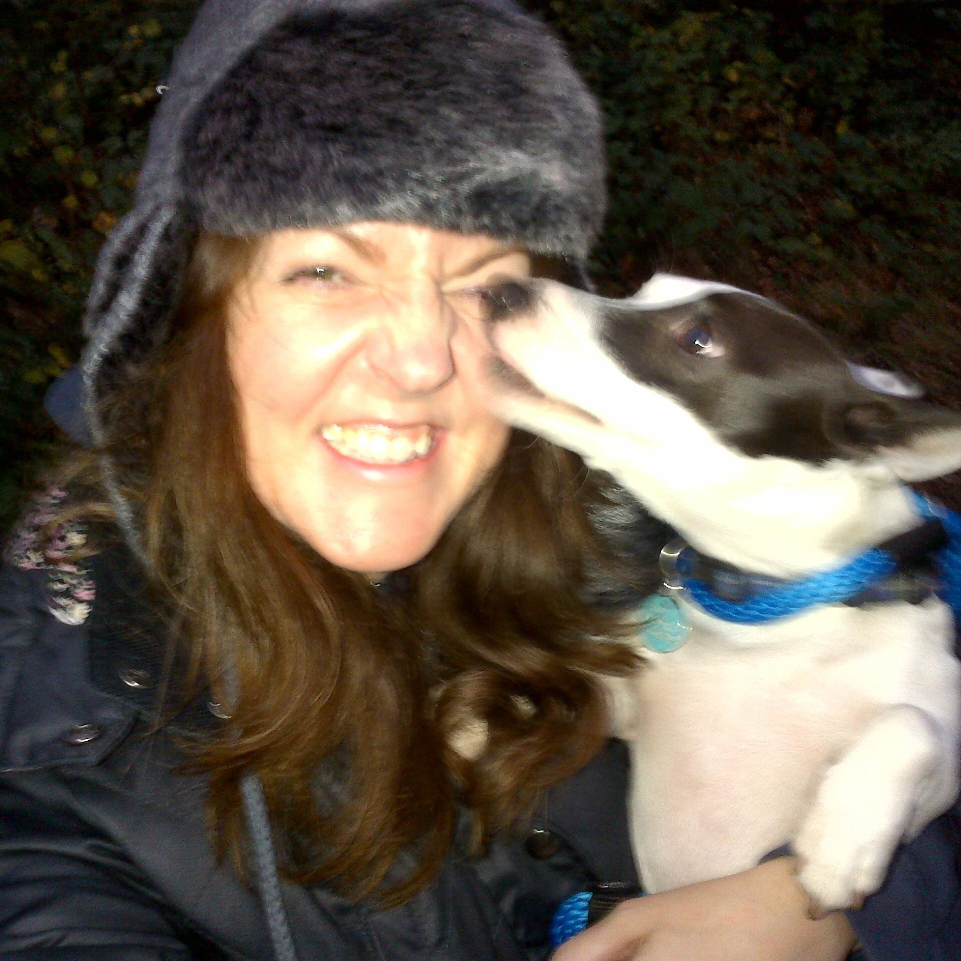Only1GossipDog's profile picture. Fred loves only the best bits of doggie gossip.