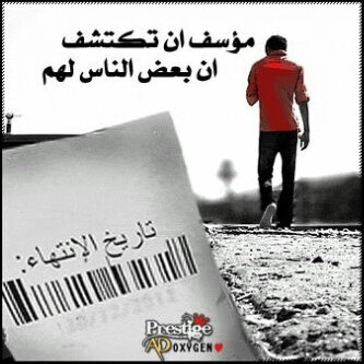 t3wdt_3leek's profile picture. 