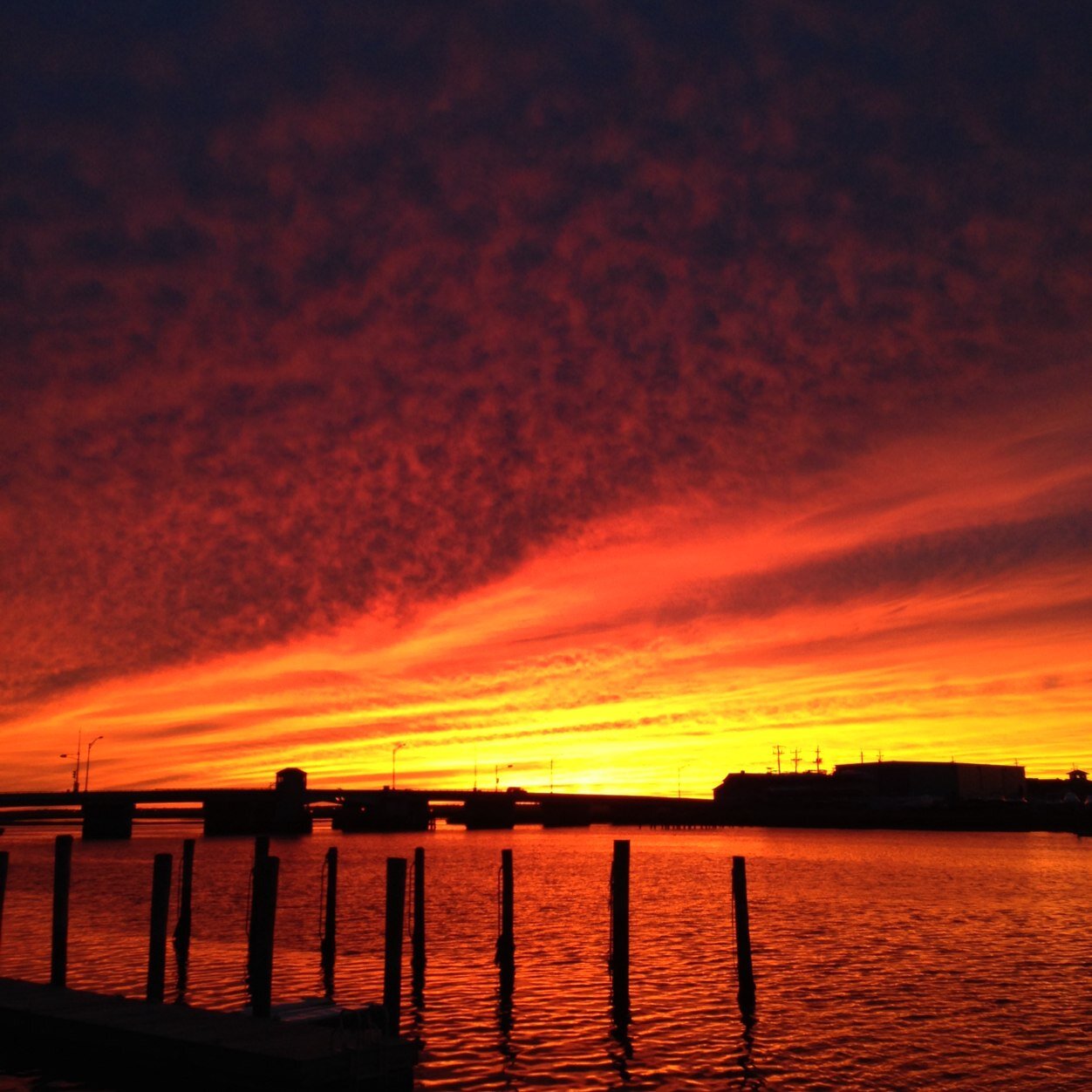 SHmotels's profile picture. 