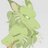 Fendracus's profile image