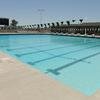 Academic Support, Aquatics, Dad and Husband