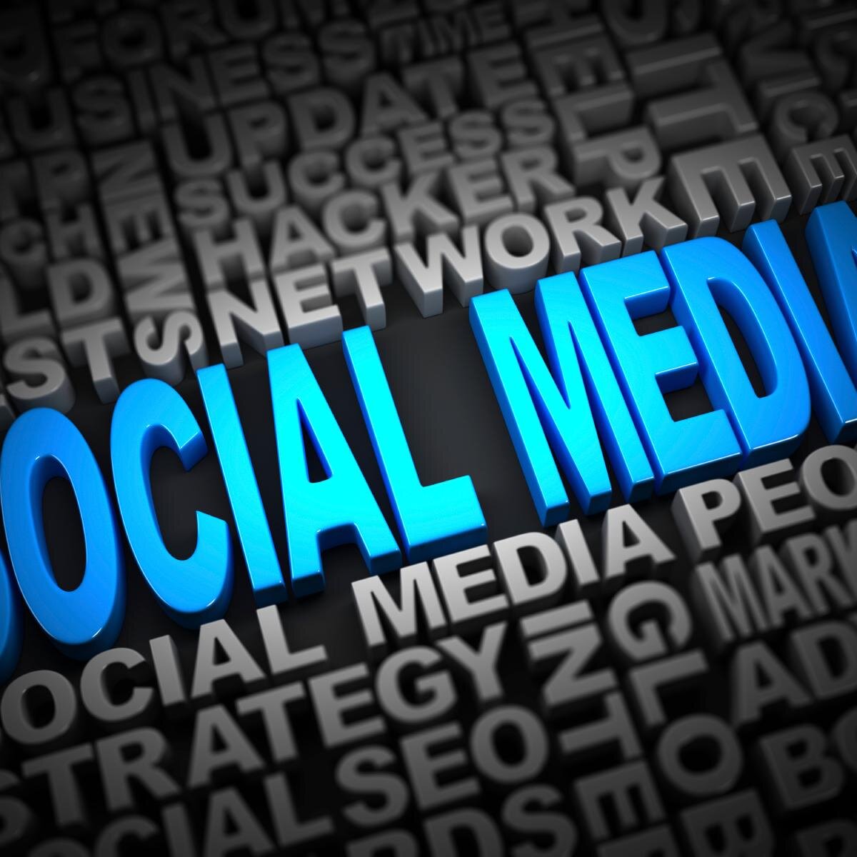 In todays world your business must exist online. We bring expert advice right to you. The choice of professionals. Contact us today! 248-871-7808