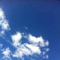 Vincent Grandjean (@vmagrandjean) 's Twitter Profile Photo Vincent Grandjean (@vmagrandjean) 's Twitter Profile Photo