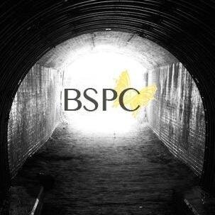 BSPC : BSPC berasal dari kata Billiard Street Palembang Community
Komunitas ini dibentuk dgn tujuan mengembangkan bakat teman-teman yg memiliki hoby BILLIARD