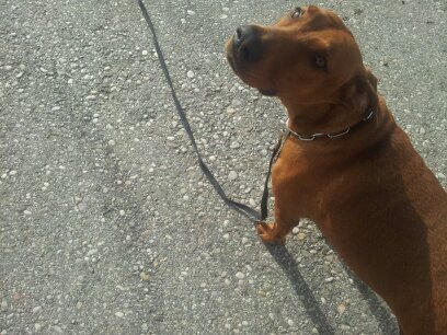 toporsch's profile picture. 