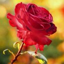 . (@09c128ddaaca490) Twitter