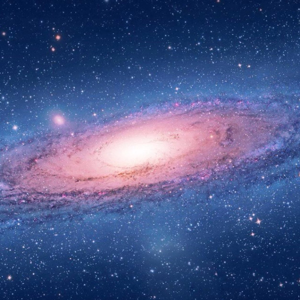 iCosmosTweet's profile picture. 