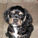 Sandra Fairchild - @FairchildSa - Twitter