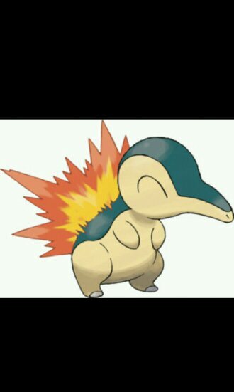 Lvl5, Trainer:@Rainbow_Dragon7 |Hi my name is Blaze,Do you want to be friends? #male, #PokemonRP