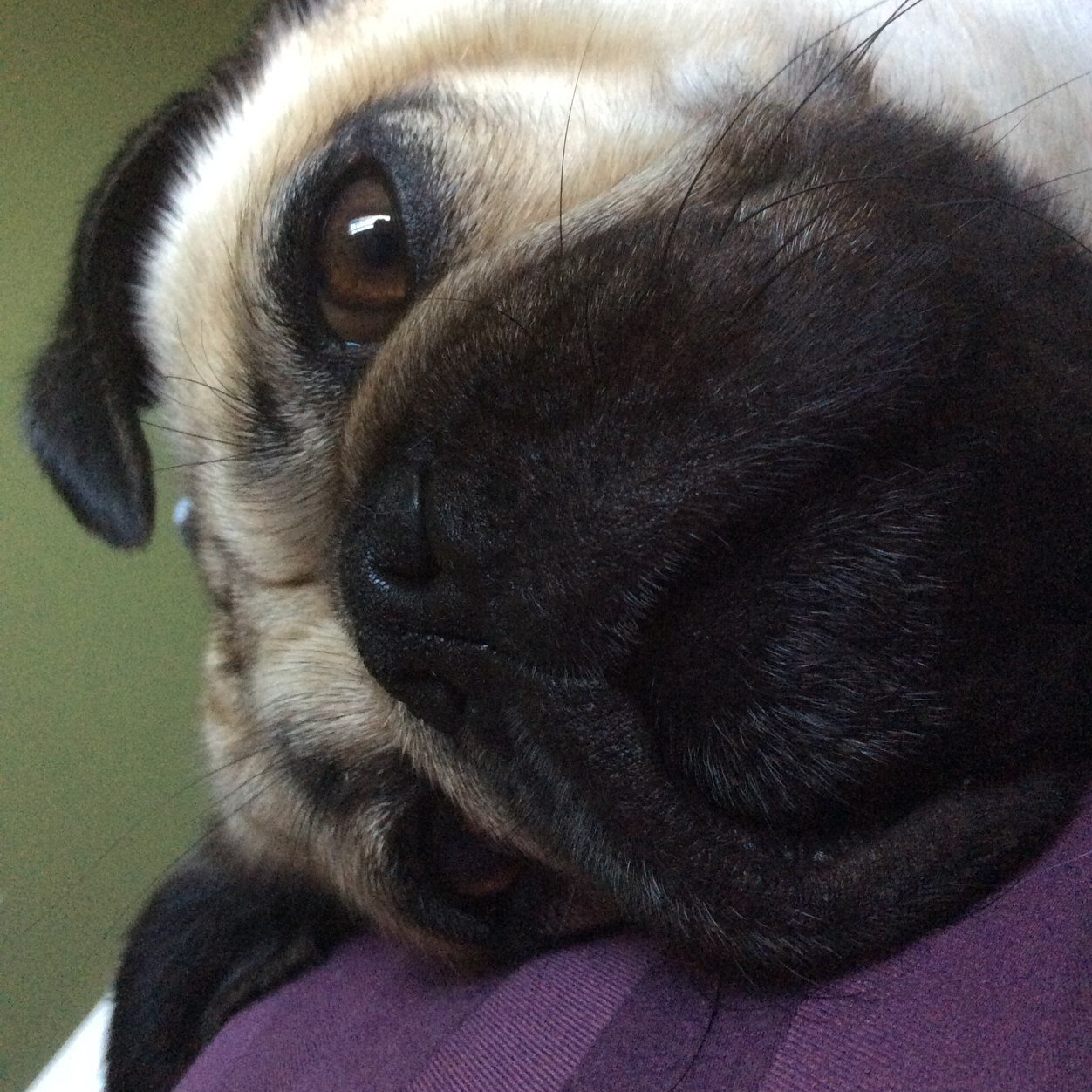 cummingsloril's profile picture. 