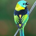 عمر بن ناصر (@0924142131) Twitter