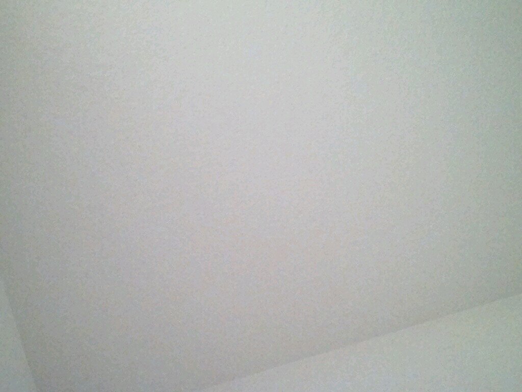 scgeven's profile picture. 