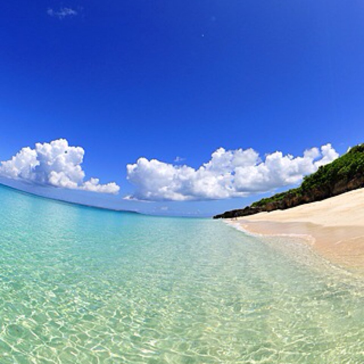 satoshi2015's profile picture. 