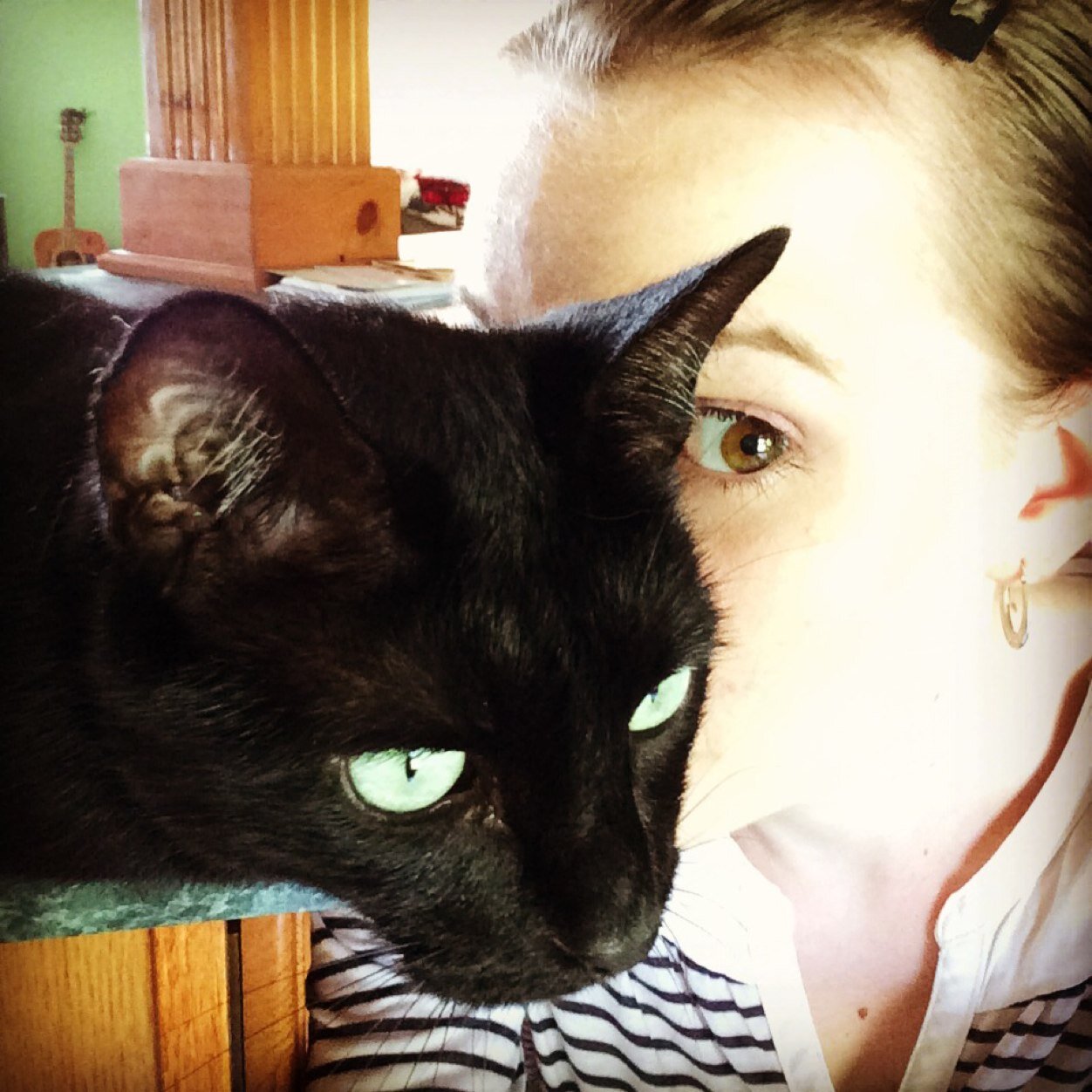 Digital Collections Librarian. Opinions are my own and beamed down from my alien overlord. She/Her/Multiple cats in a trench coat