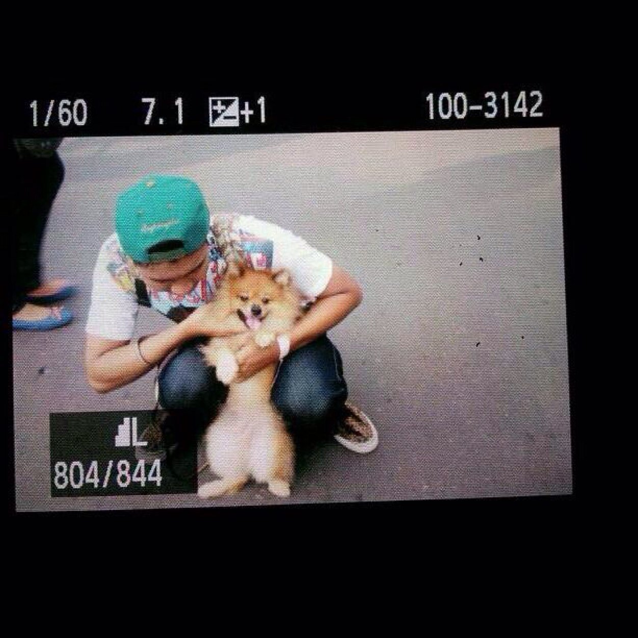 stevenagr's profile picture. Praise & Give Thanks