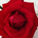 Débora Freitas - @ArqDbora - Twitter