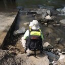 Deb Collier - @dcollier1617 - Twitter