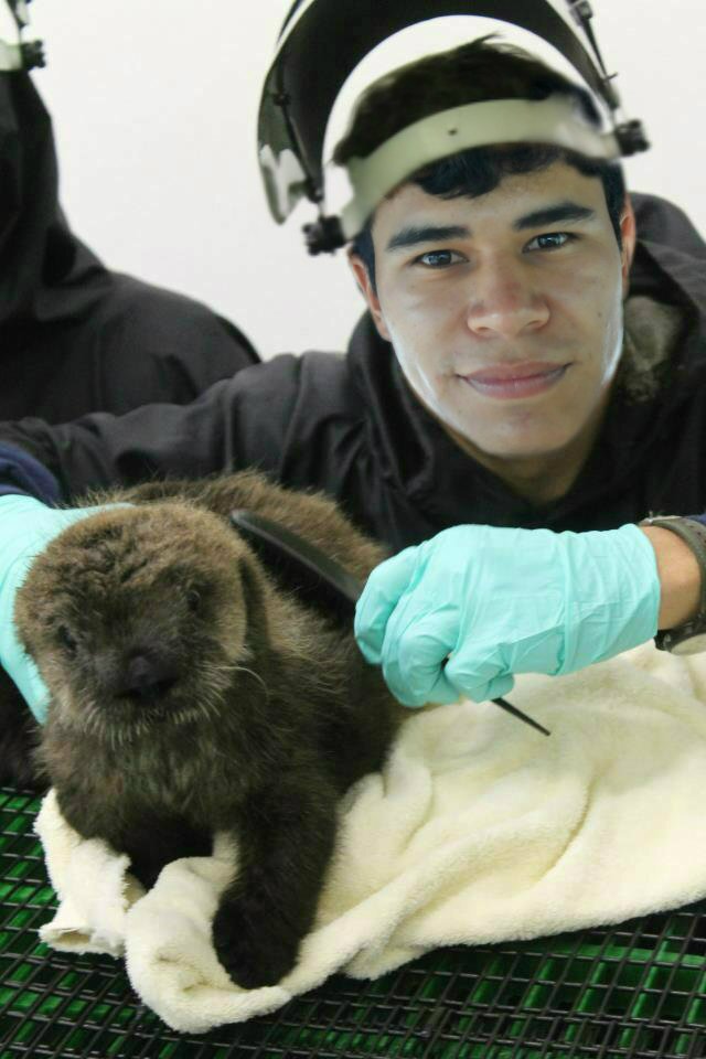 Gustian2Julian's profile picture. Lo importante no es saber qué decir, es saber qué hacer y hacerlo.