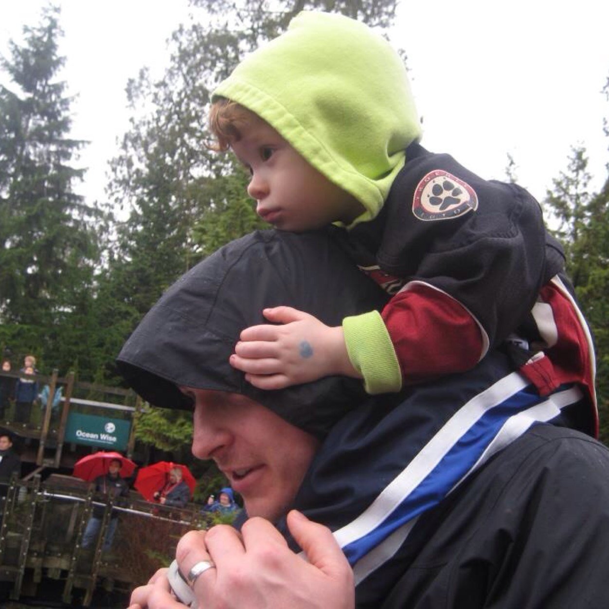 mhadikin's profile picture. 