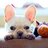 PiperWaffles's profile image