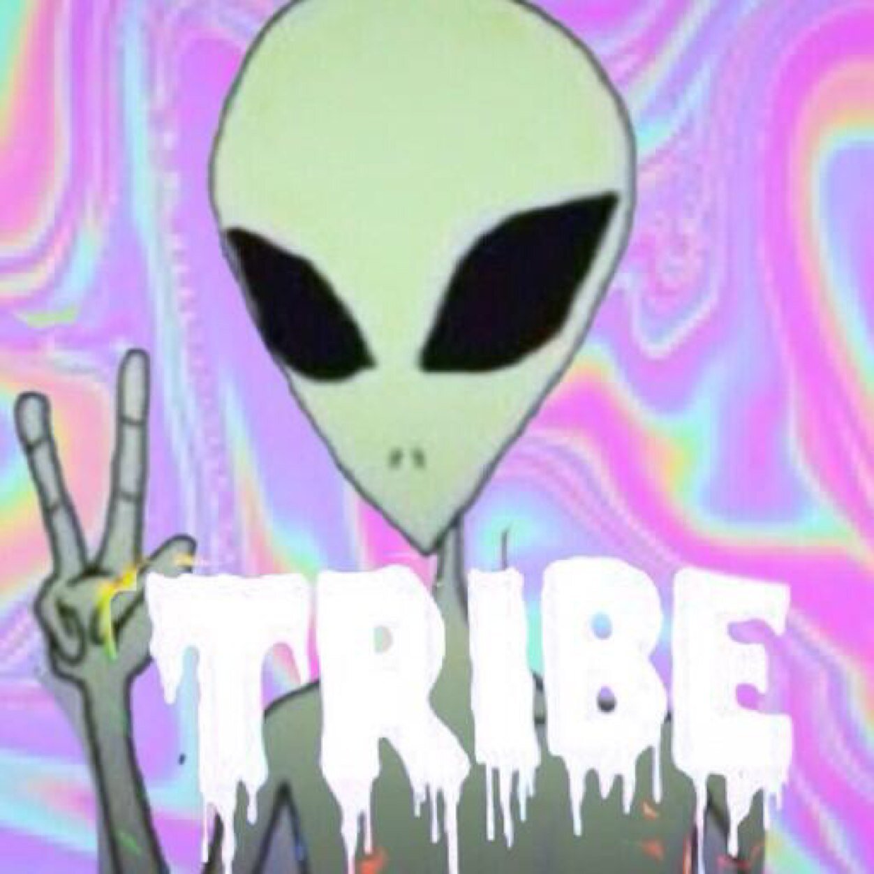 Instagram- DrugTribe