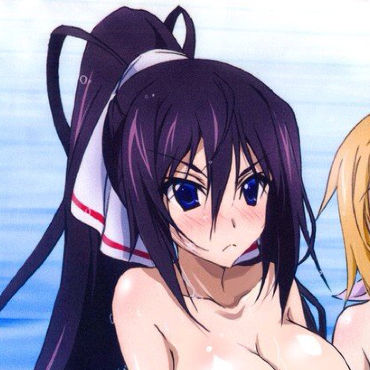 篠ノ之箒さんのプロフィール画像