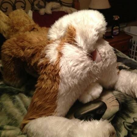 Furry After Dark