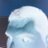 wuuut's profile image