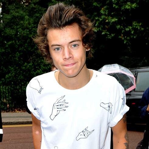 Go away your not Harry Styles ✌