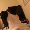 coby allen - @cabyallen1111 - Twitter