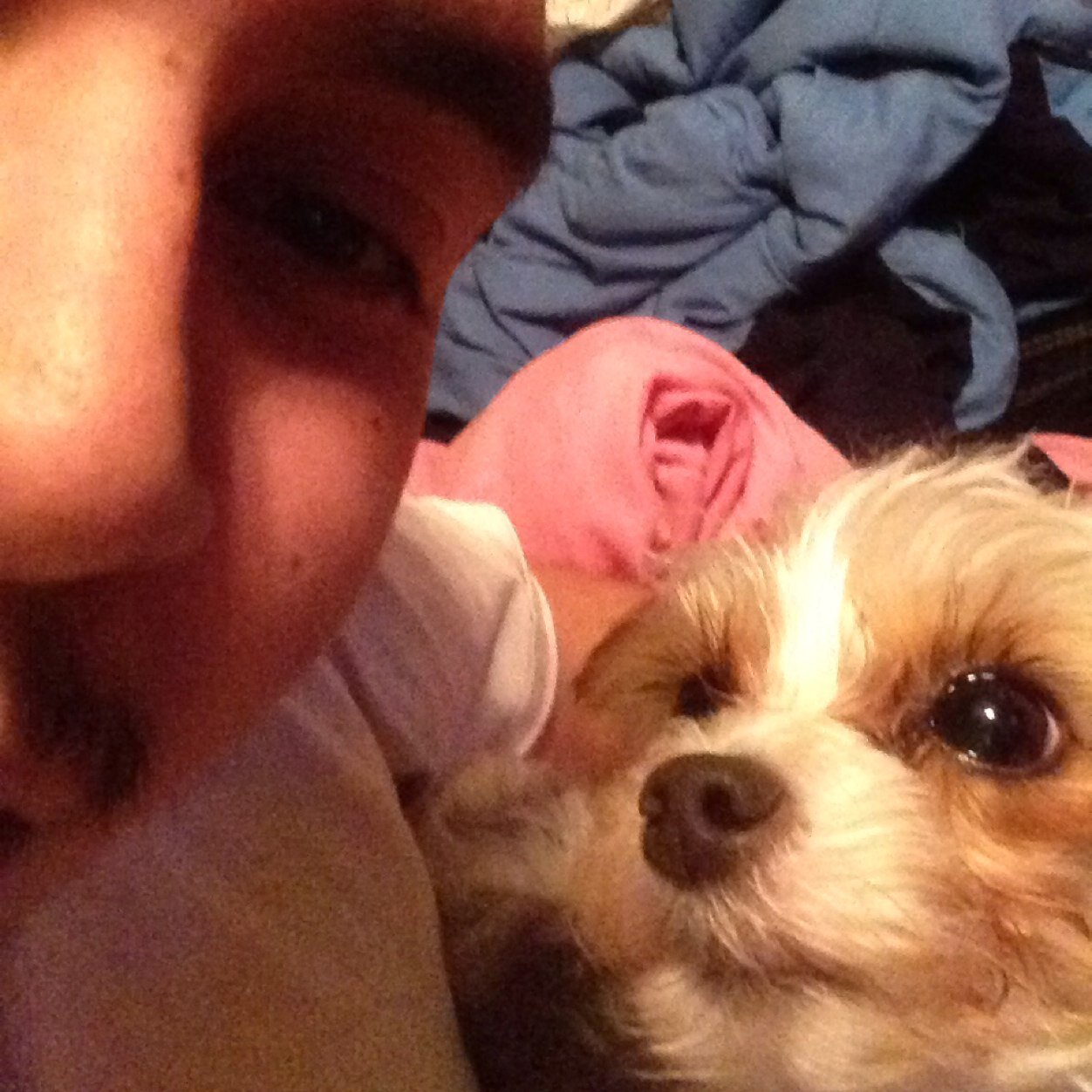 CompaqZack's profile picture. 