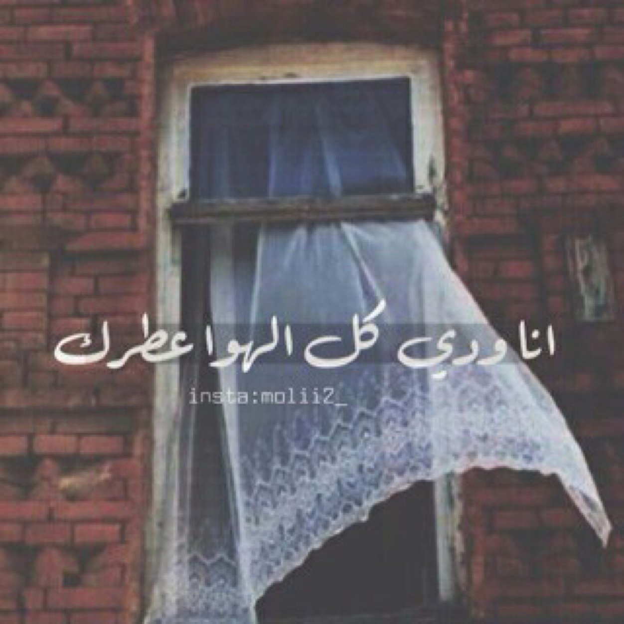 لا اله الا الله محمد رسول الله