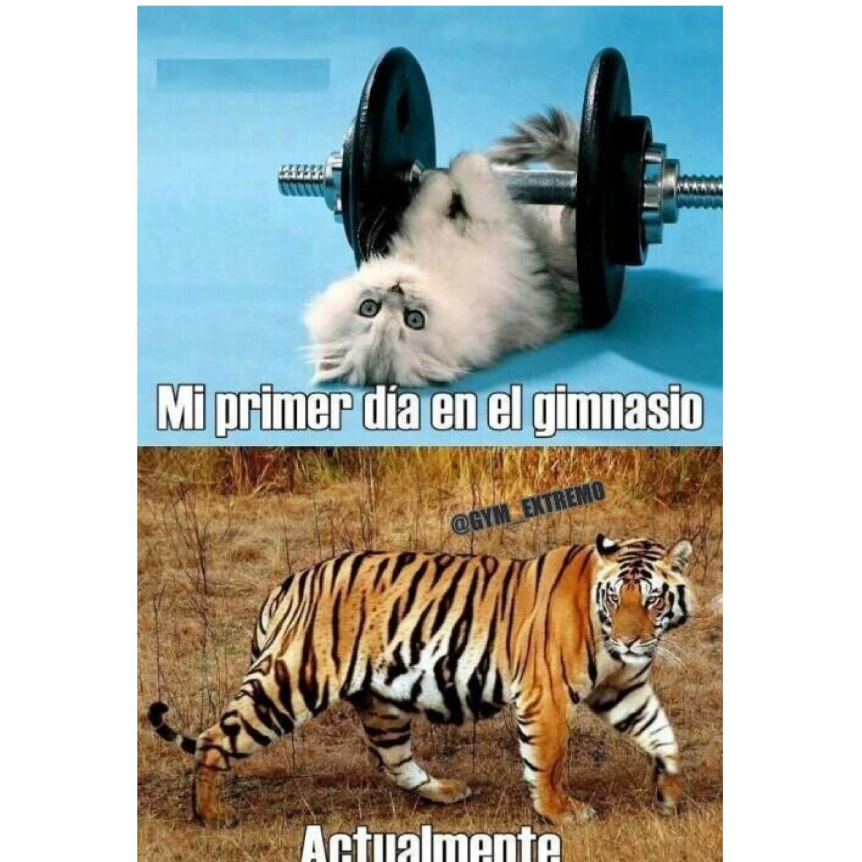 mrhuerta's profile picture. 